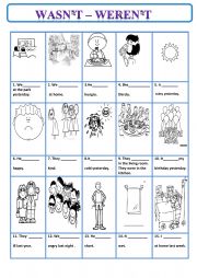 English Worksheet: was not were not
