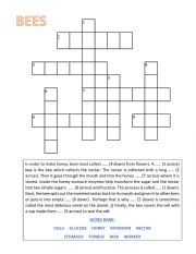 English Worksheet: Bees Crossword 