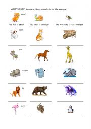 English Worksheet: Comparison of Animals