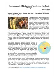 English Worksheet: Reading Worksheet