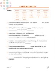 English Worksheet: Carbohydrates