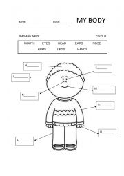 English Worksheet: The Body