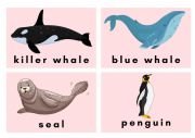 English Worksheet: Arctic Animal flashcard