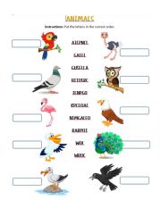 English Worksheet: Animals