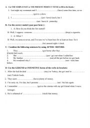 English Worksheet: Past Perfect & Gerund Exercises