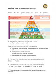 English Worksheet: Food Pyramid