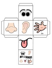 English Worksheet: senses