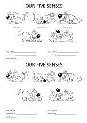 English Worksheet: Our five senses