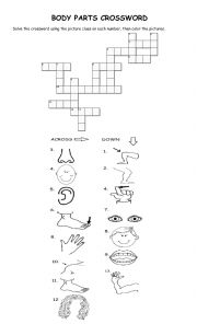 English Worksheet: Body Parts Crossword for coloring