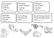 English Worksheet: Animal Riddles