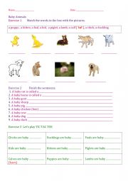 English Worksheet: Baby Animals