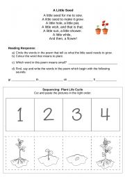 English Worksheet: A Little Seed