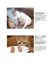 English Worksheet: I wish worksheet