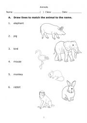 English Worksheet: Animal Names 