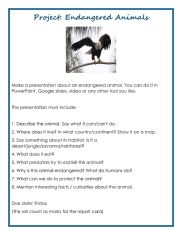 English Worksheet: Endangered Animals project