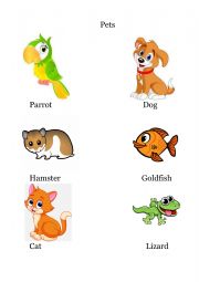 English Worksheet: Six household pets