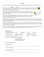 English Worksheet: On bees