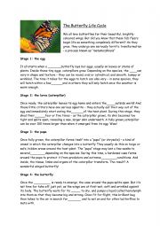 English Worksheet: The Butterfly Life Cycle
