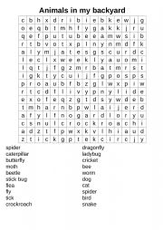 English Worksheet: Animals in My Backyard 