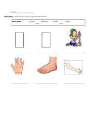 English Worksheet: Measuring Parts of the Body