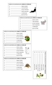 English Worksheet: There is - There are