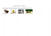 English Worksheet: Describing a pet