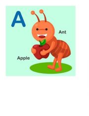 English Worksheet: Alphabet