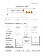 English Worksheet: Singular plural