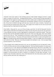 English Worksheet: end term test n1