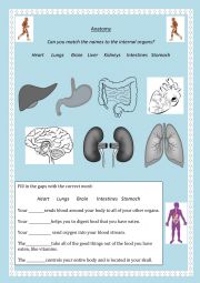 body parts - ESL worksheet by locho0805
