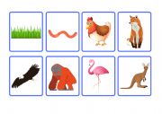 English Worksheet: iWonder 4 unit 2 vocabulary flashcards animal survival part 1