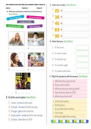 English Worksheet: Exam Sample