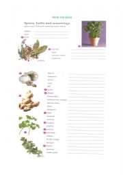 English Worksheet: Herbs and spices