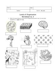 English Worksheet: Levels of Organization