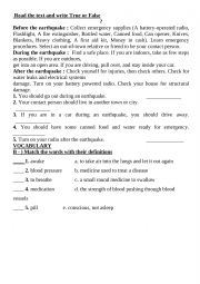 English Worksheet: reading