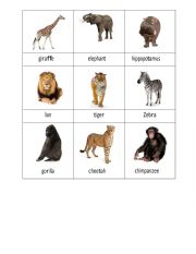 English Worksheet: African Animals