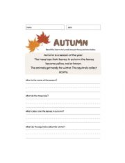 English Worksheet: AUTUMN