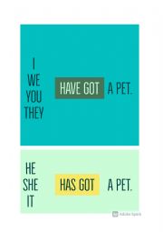 Grammar poster - HAVE GOT