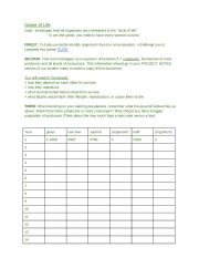 English Worksheet: Game of Life Ecosystems