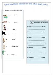 English Worksheet: What can animals do ?