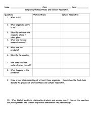 English Worksheet: Comparing Photosynthesis and Celluar Respiration