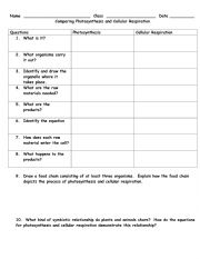 Comparing Photosynthesis and Celluar Respiration