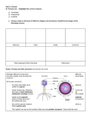 English Worksheet: DNA