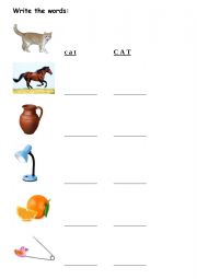 English Worksheet: Write the words (small and BIG)
