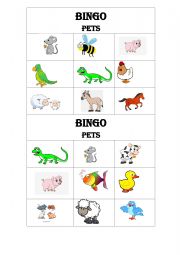 English Worksheet: Bingo Farm animals and Pets