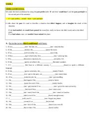 English Worksheet: Third conditional