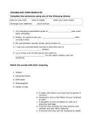 English Worksheet: Idioms from OPEN WORLD B2