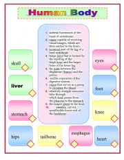 English Worksheet: Human body