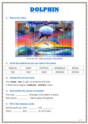 English Worksheet: Dolphin