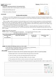 English Worksheet: Budding scientist